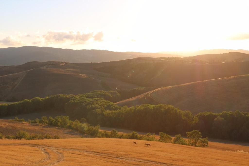 Agriturismo Fattoria Lischeto Volterra Exterior foto